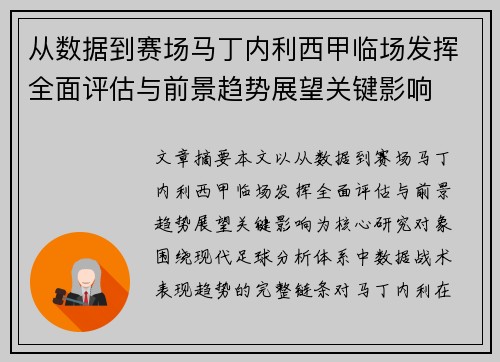 从数据到赛场马丁内利西甲临场发挥全面评估与前景趋势展望关键影响