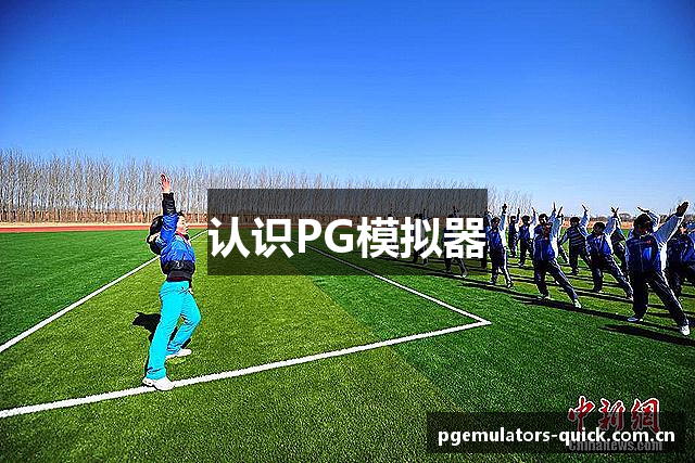 认识PG模拟器